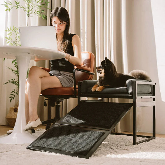 Elevated Pet Sofa Bed with Stairs Ramp for Bedside Lounge or Dog Window Perch