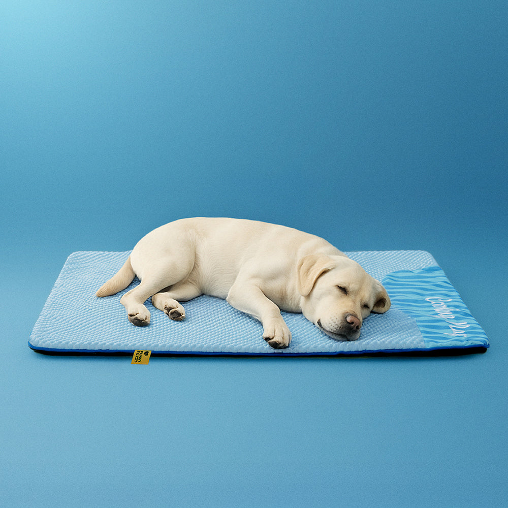 Large Washable Cooling Non-slip Dog Mat - Cooling Nap
