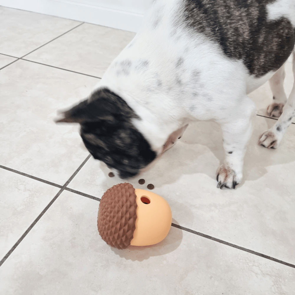 Enrichment Acorn Dog Toy