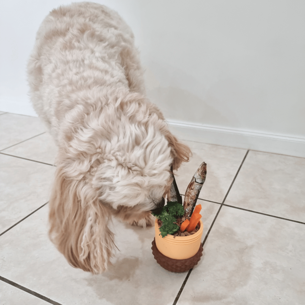 Enrichment Acorn Dog Toy