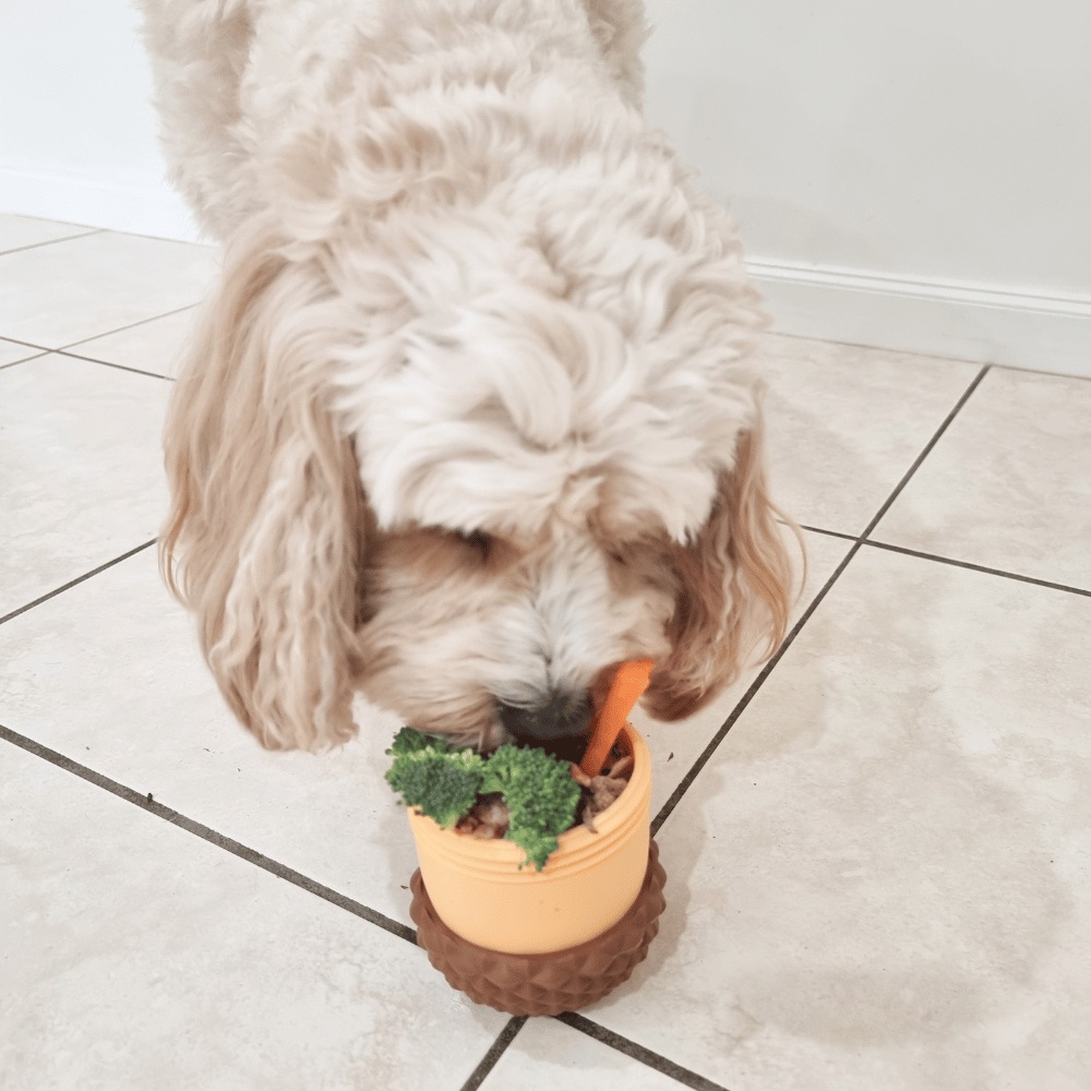 Enrichment Acorn Dog Toy