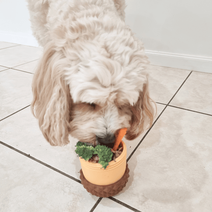 Enrichment Acorn Dog Toy