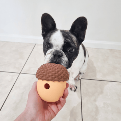 Enrichment Acorn Dog Toy