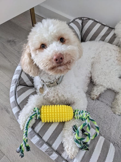 Corn on the Cob Enrichment Dog Toy