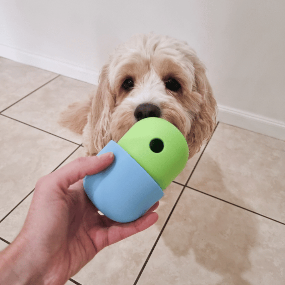 Enrichment Egg Dog Toy