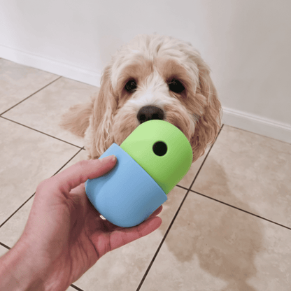 Enrichment Egg Dog Toy
