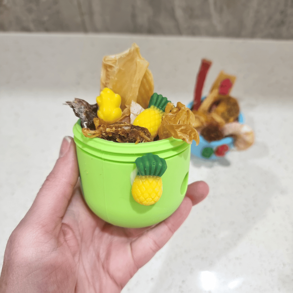 Enrichment Egg Dog Toy