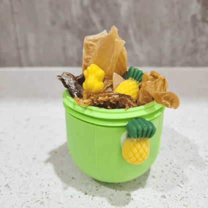 Enrichment Egg Dog Toy