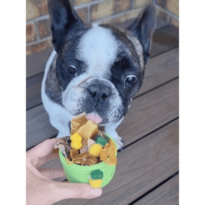 Enrichment Egg Dog Toy