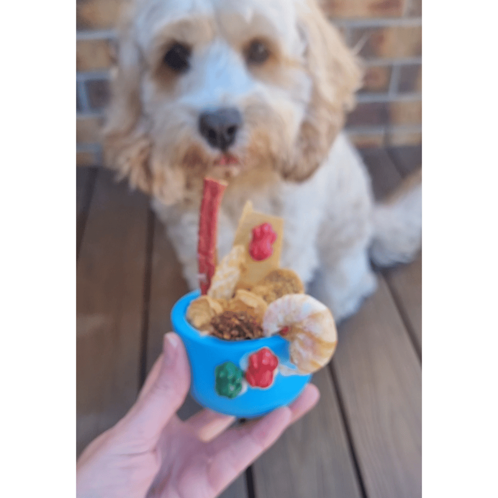 Enrichment Egg Dog Toy