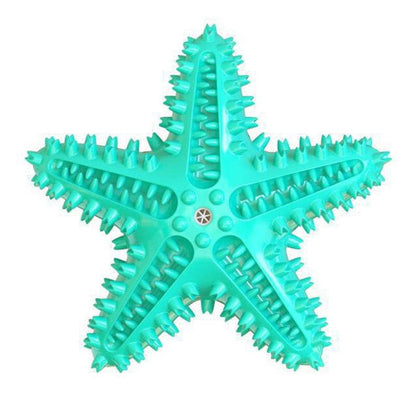 Enrichment Starfish Squeaker Dog Toy