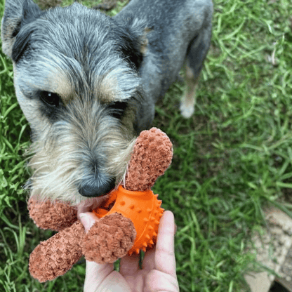 Dougie Dog Enrichment Plush Dog Toy