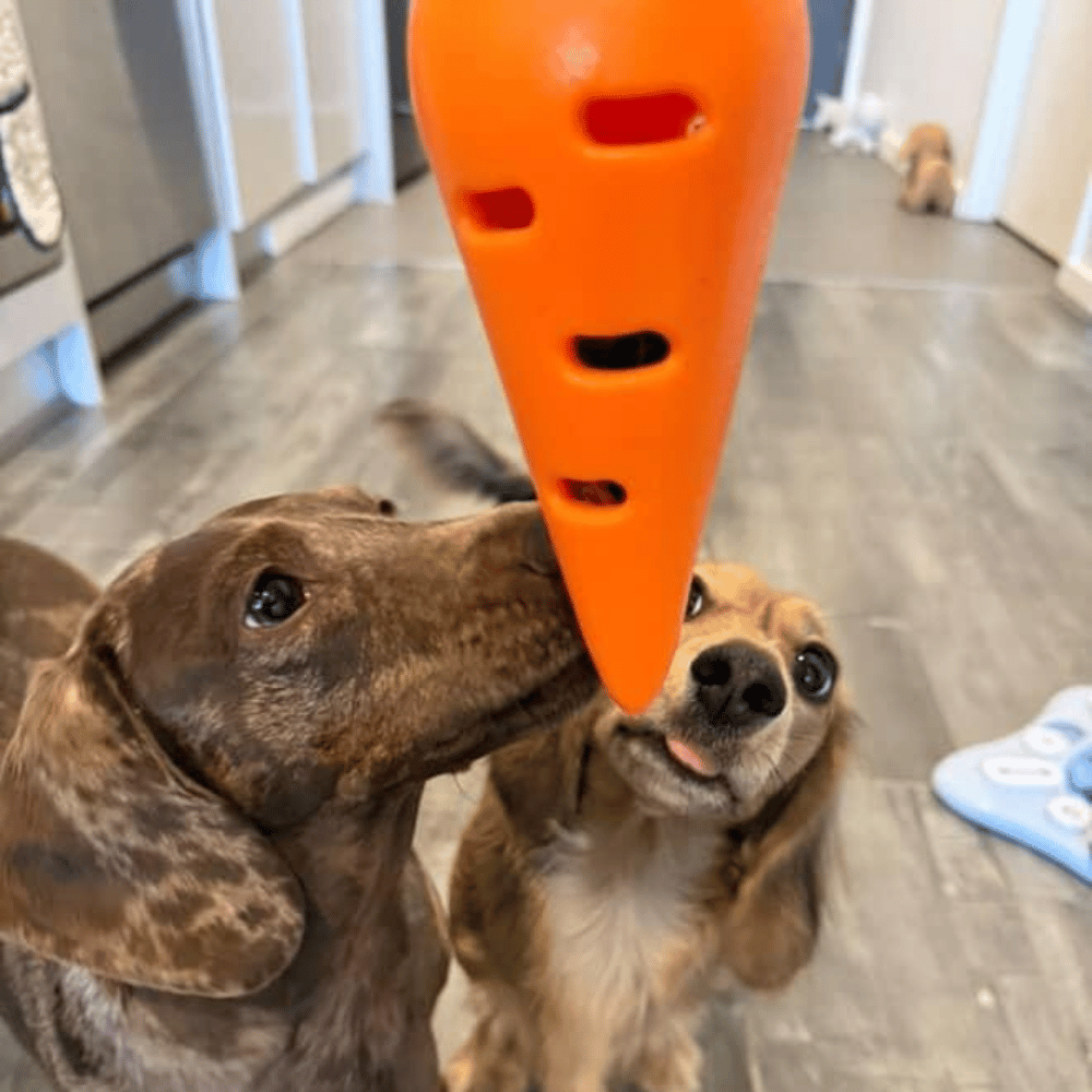 Carrot Treat Dispenser Dog Toy