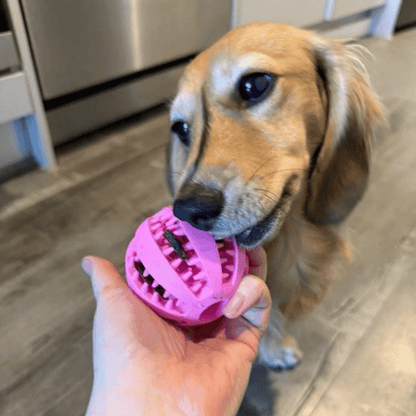 Enrichment Treat Ball