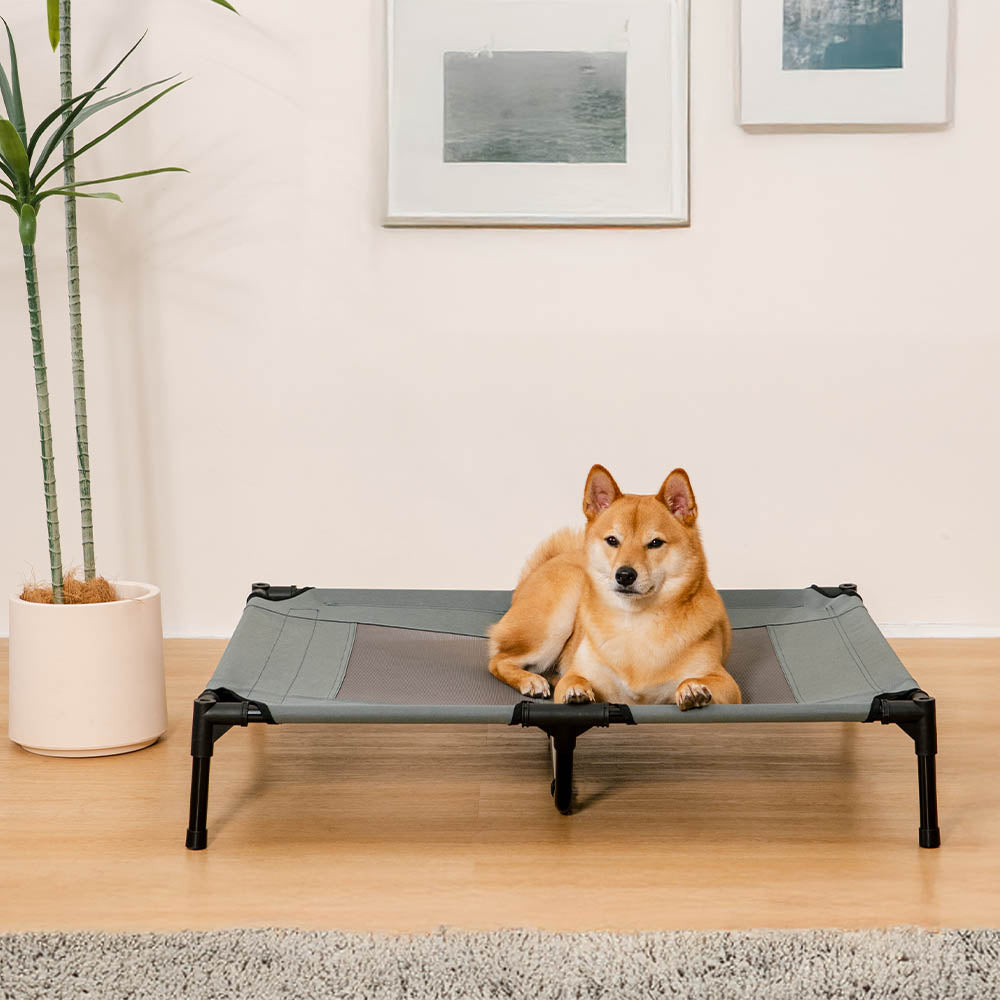 Multi-Functional Breathable Cooling Elevated Dog Bed with Canopy - PawAir