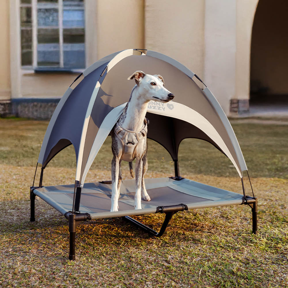 Multi-Functional Breathable Cooling Elevated Dog Bed with Canopy - PawAir