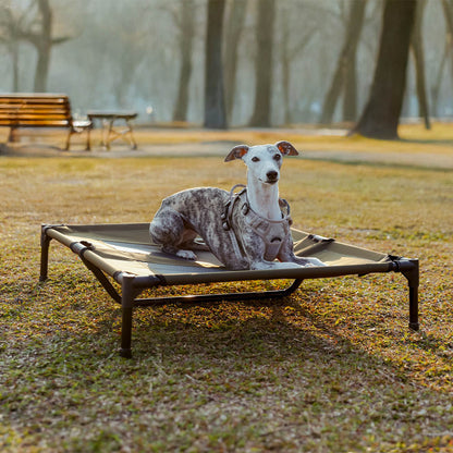 Multi-Functional Breathable Cooling Elevated Dog Bed with Canopy - PawAir
