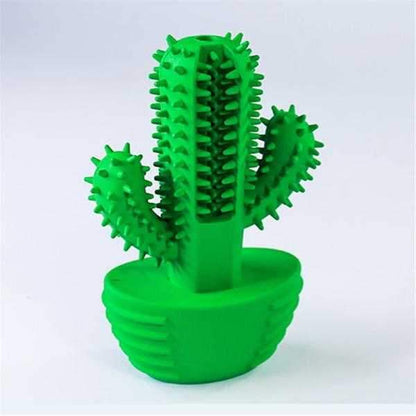 Cactus Dental Enrichment Toy