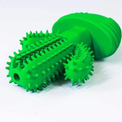 Cactus Dental Enrichment Toy