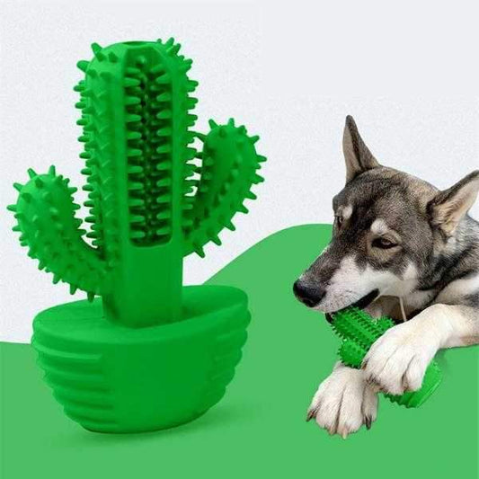 Cactus Dental Enrichment Toy